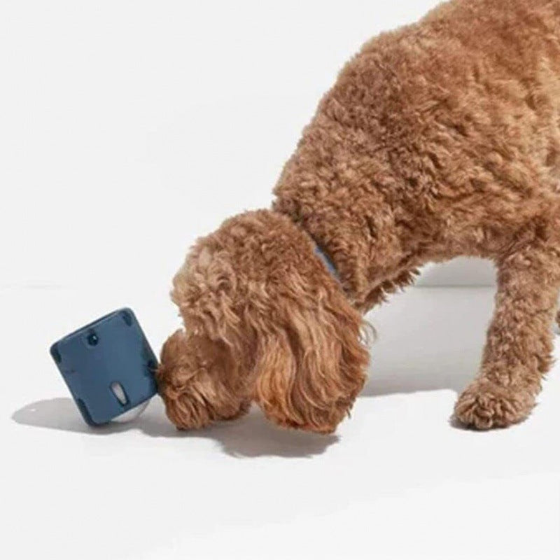 Juguetes de caucho natural resistentes a las mordeduras para perros