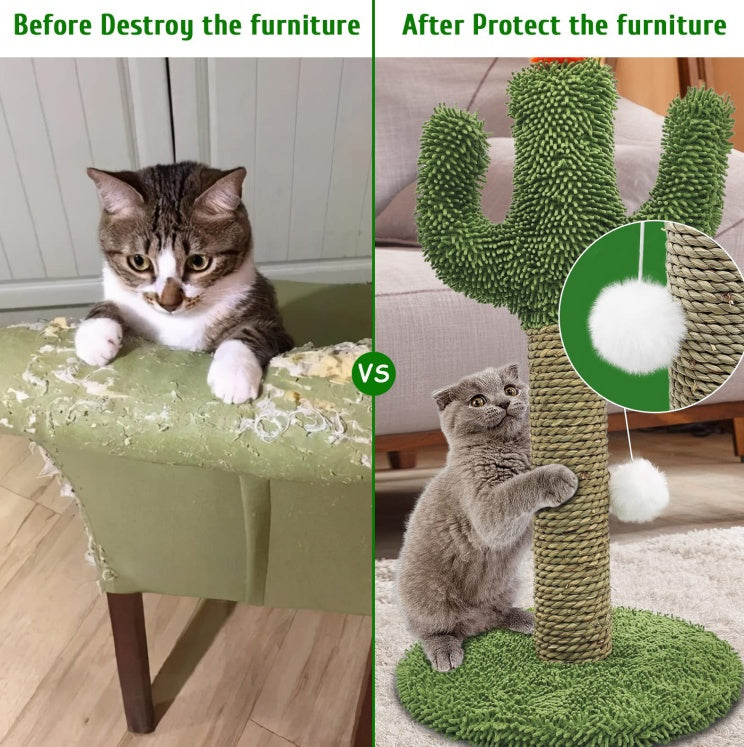 Cactus trepador para gatos 2 en 1 - Base de madera maciza, poste para arañazos de sisal natural y juguete con pelota colgante. Centro de actividad para gatos de interior.