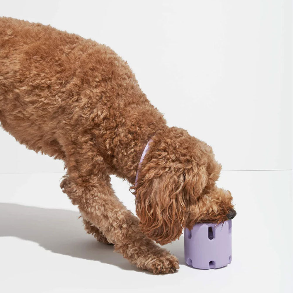 Juguetes de caucho natural resistentes a las mordeduras para perros