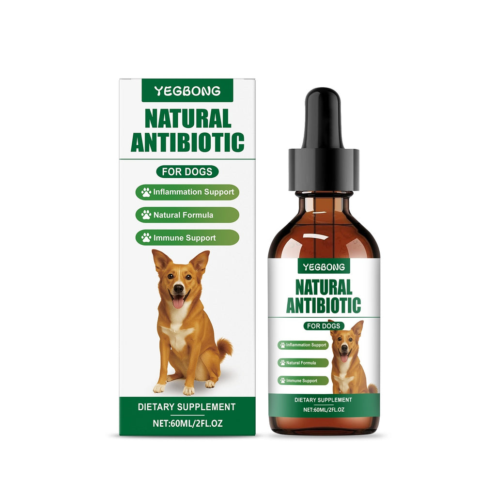 Antibiótico natural para perros