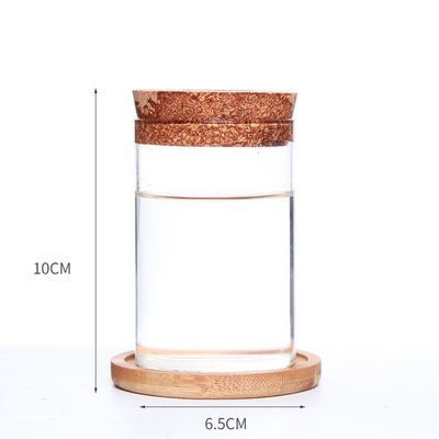 Bote de vidrio ecológica, maceta para plantas, jarrón de vidrio para oficina