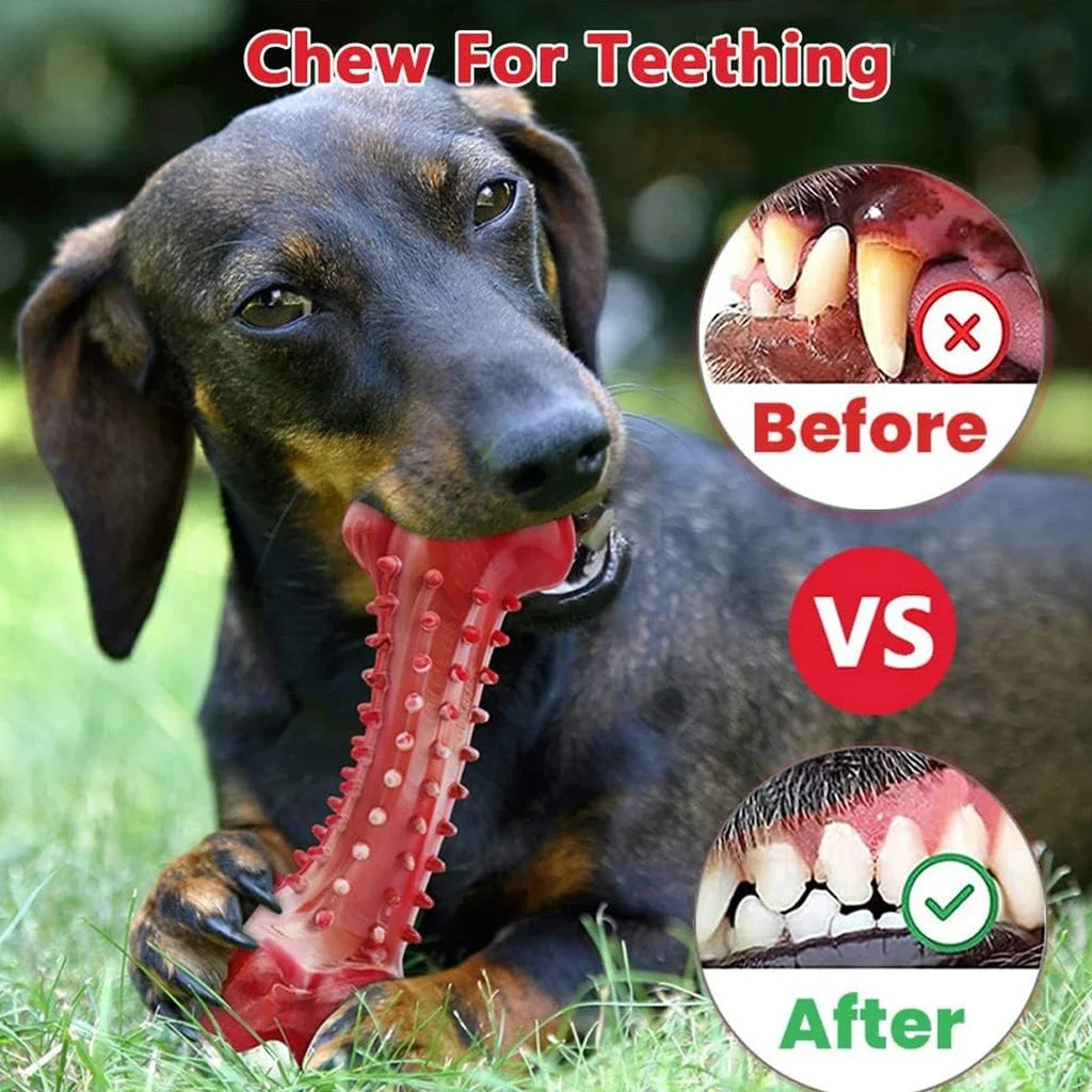 Juguete de goma natural para masticar, resistente y duradero, perfecto para perros que mastican objetos pesados.