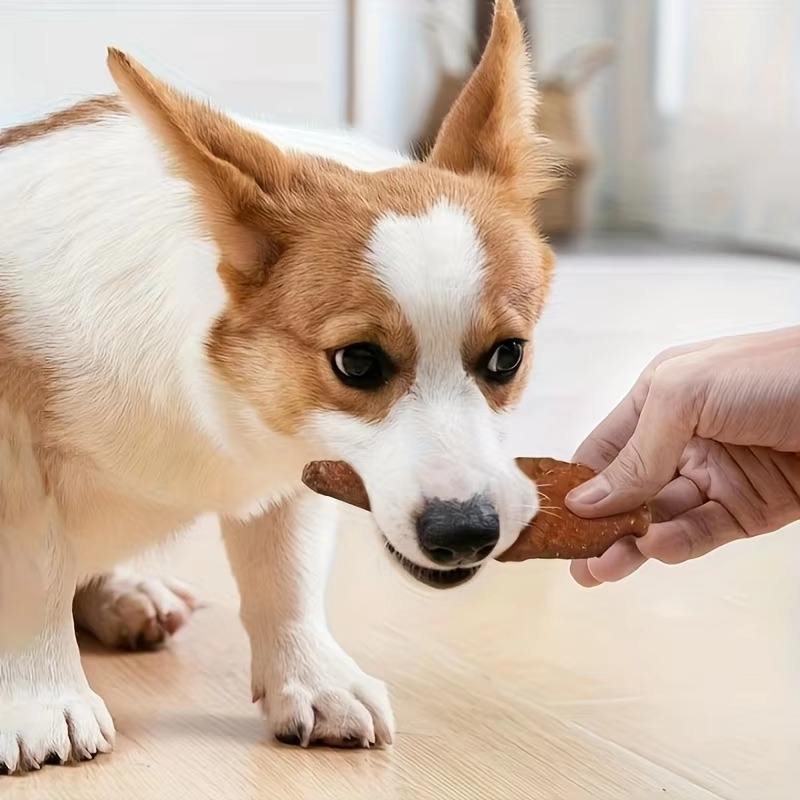 Croquetas de pollo con forma de mascota, envueltas en cuero crudo: un delicioso y natural tentempié de carne para perros de todas las razas.