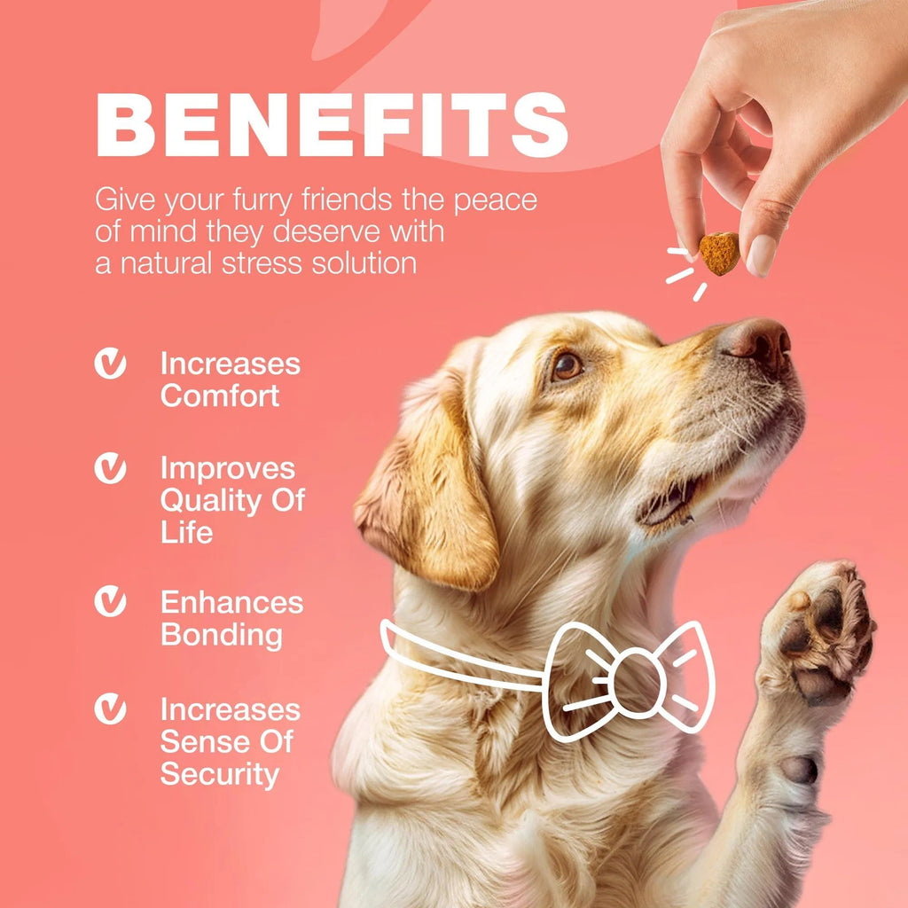 Comprimidos masticables para el tratamiento de pulgas y garrapatas en perros. Prevención natural de pulgas y garrapatas, para reforzar el sistema inmunológico.