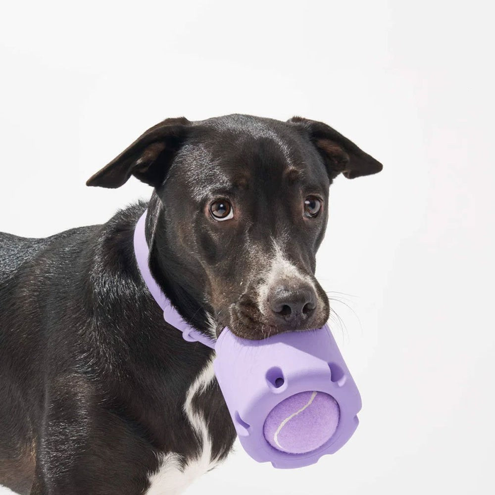 Juguetes de caucho natural resistentes a las mordeduras para perros