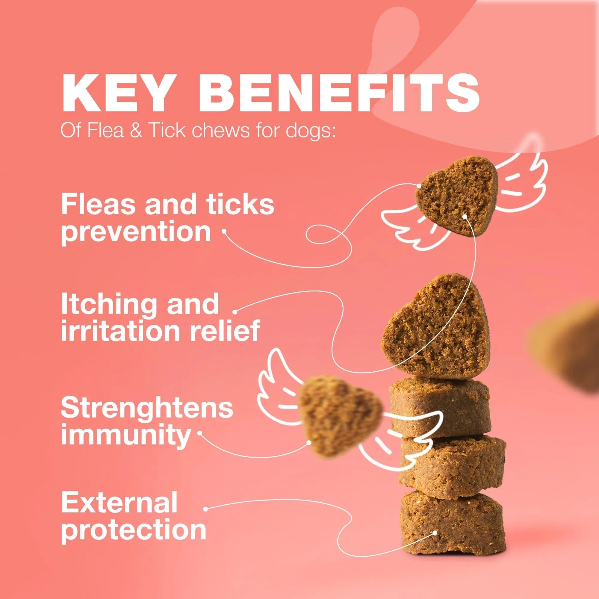 Comprimidos masticables para el tratamiento de pulgas y garrapatas en perros. Prevención natural de pulgas y garrapatas, para reforzar el sistema inmunológico.