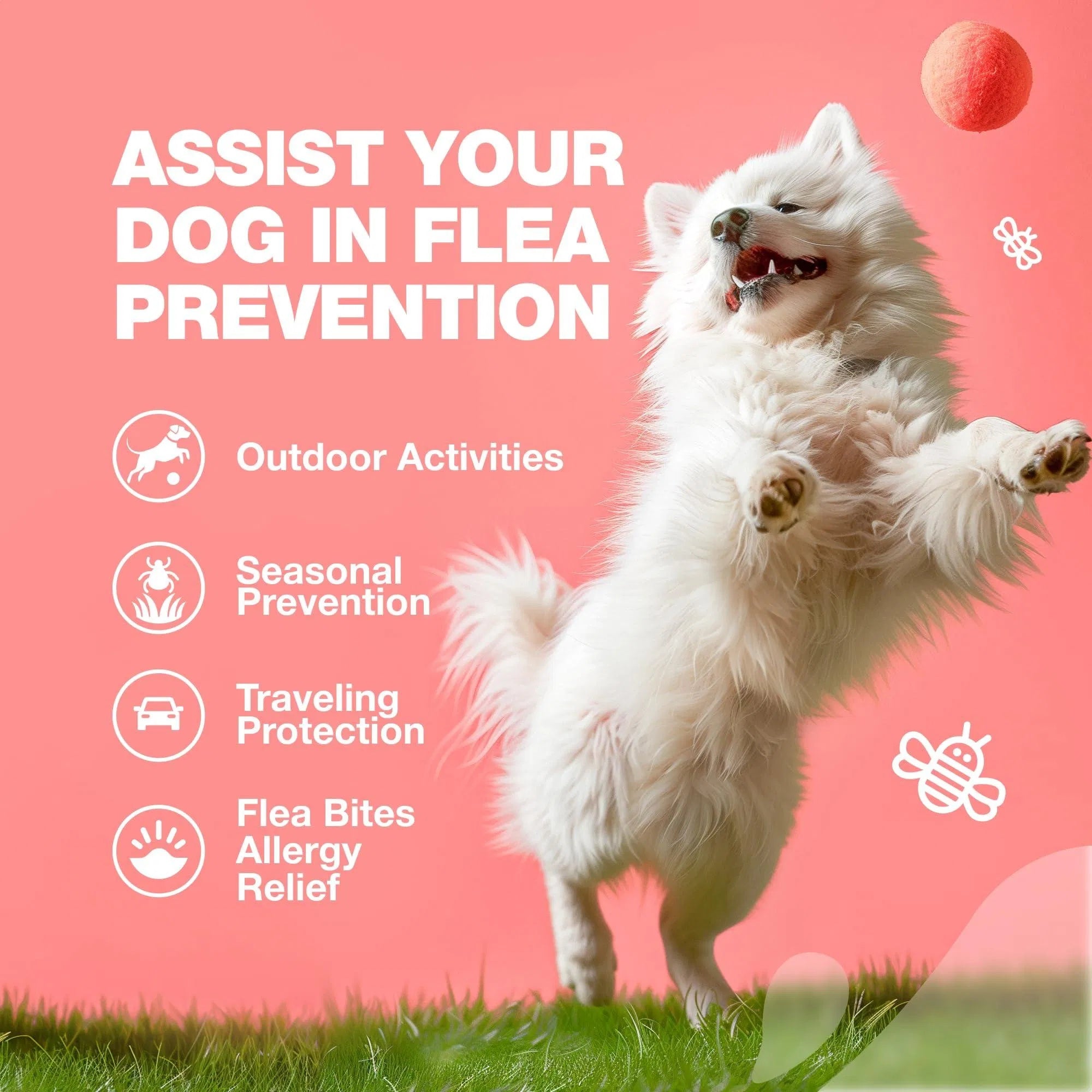 Comprimidos masticables para el tratamiento de pulgas y garrapatas en perros. Prevención natural de pulgas y garrapatas, para reforzar el sistema inmunológico.
