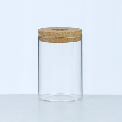 Bote de vidrio ecológica, maceta para plantas, jarrón de vidrio para oficina
